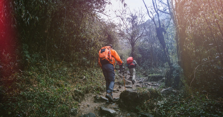 Sanctuari Hidupan Liar Tungareshwar. Pengembaraan Dekat Mumbai