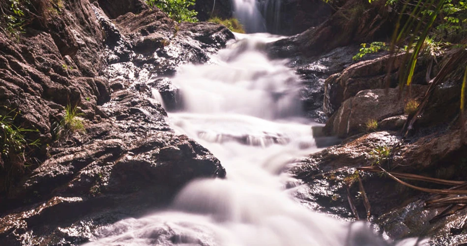 Sanctuari Hidupan Liar Tungareshwar. Pengembaraan Dekat Mumbai