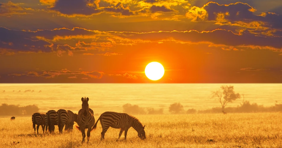 Best Things to Do in Mumbai with Family