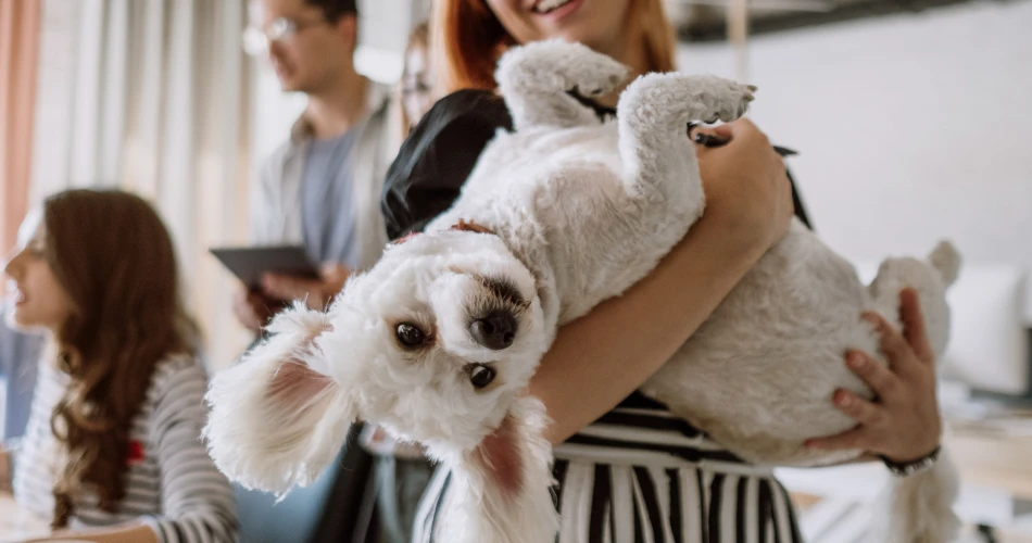 Pet Shows and Animal Events in Mumbai